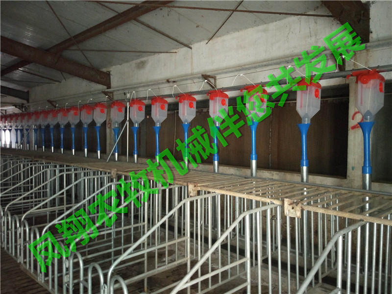 配种怀孕母猪用自动喂料设备 配种怀孕母猪用自动喂料设备